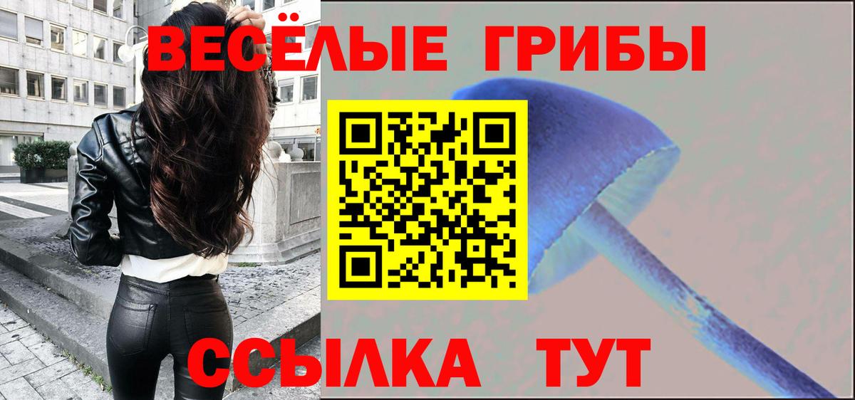 Старая Русса  Псилоцибиновые грибы прущие грибы  наркошоп  Вход с VPN 